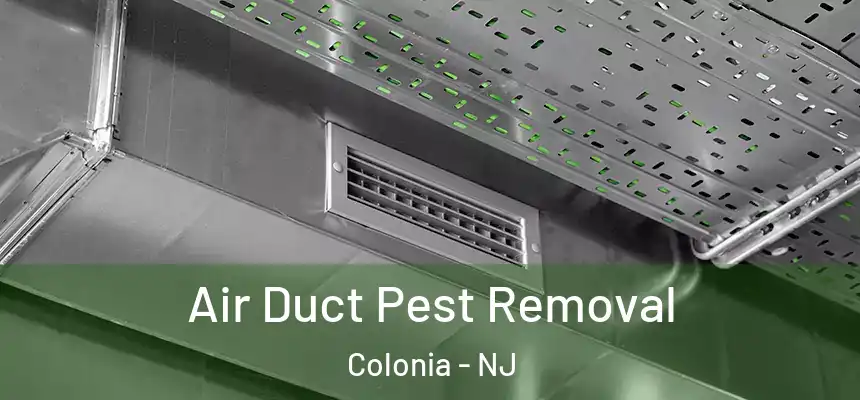 Air Duct Pest Removal Colonia - NJ