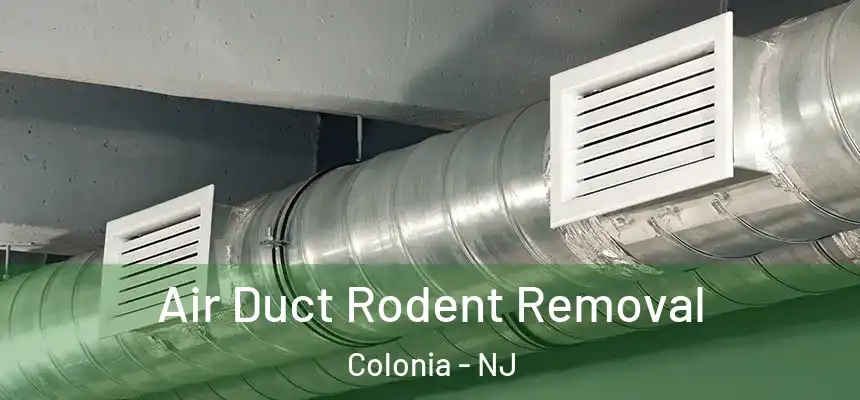 Air Duct Rodent Removal Colonia - NJ