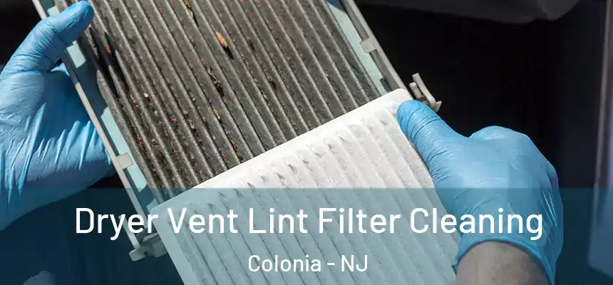 Dryer Vent Lint Filter Cleaning Colonia - NJ
