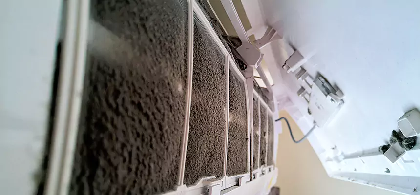 Preventive Air Duct Bacteria Removal in Colonia