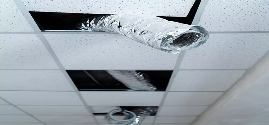 Our Air Duct Pet Hair Removal Services in Colonia, NJ