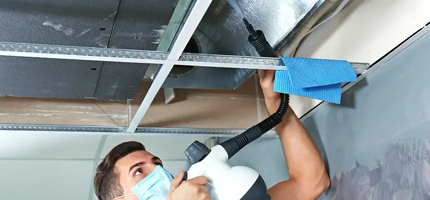 Our Air Duct Rodent Removal Services in Colonia, NJ