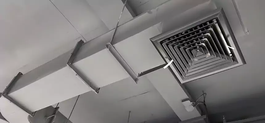 Restorative Allergy Relief Vent Cleaning – Coil, Blower & Housing Detail in Colonia