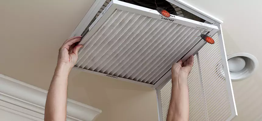 Our Insect Removal from Air Ducts Services in Colonia, NJ