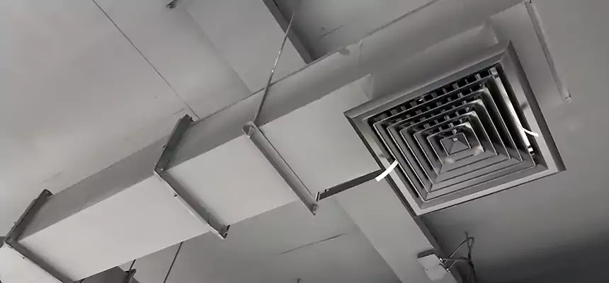 Our Rodent Droppings In Vents Services in Colonia, NJ