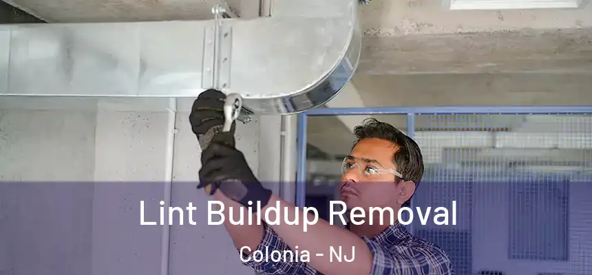 Lint Buildup Removal Colonia - NJ