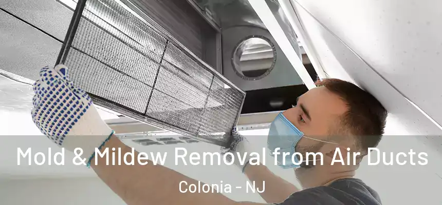 Mold & Mildew Removal from Air Ducts Colonia - NJ