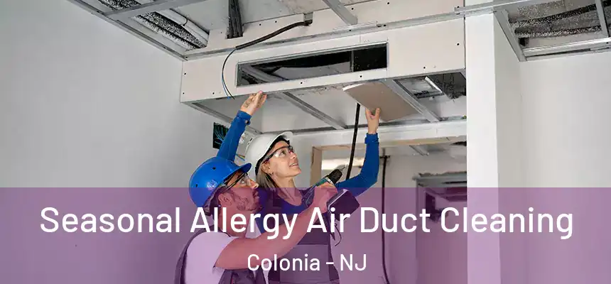 Seasonal Allergy Air Duct Cleaning Colonia - NJ