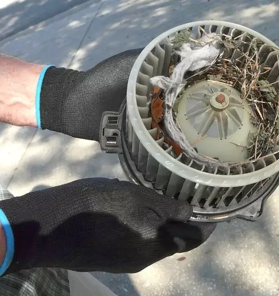 About Air Duct Mice Removal in Colonia, NJ