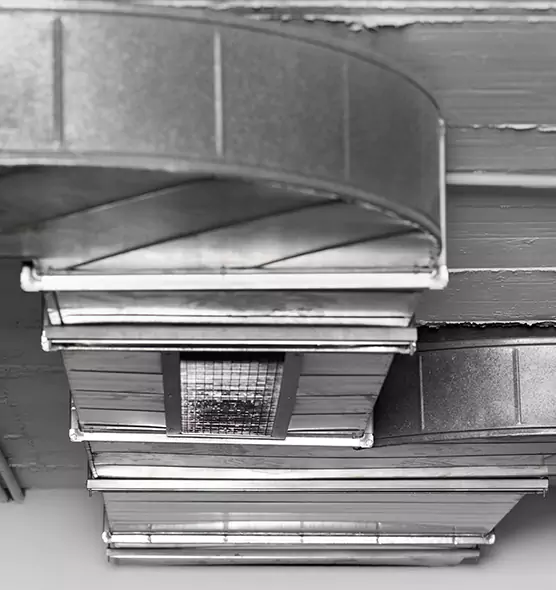 Professional Air Duct Pet Hair Removal in Colonia, NJ