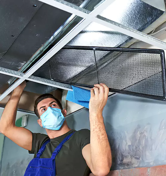 Professional Air Duct Pollen Cleaning in Colonia, NJ