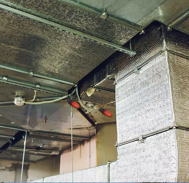 Why Homeowners & Businesses Trust Us in Colonia, NJ?