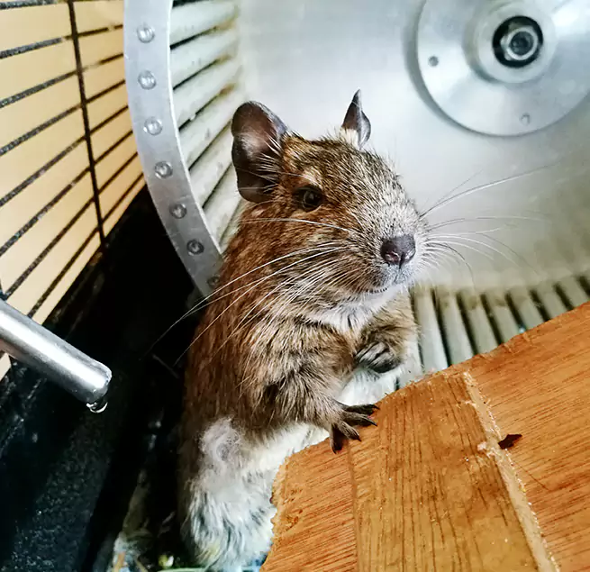 Why Homeowners & Businesses Trust Us Colonia, NJ?