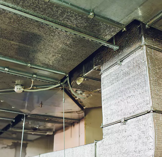 Why Homeowners & Businesses Trust Us in Colonia, NJ?