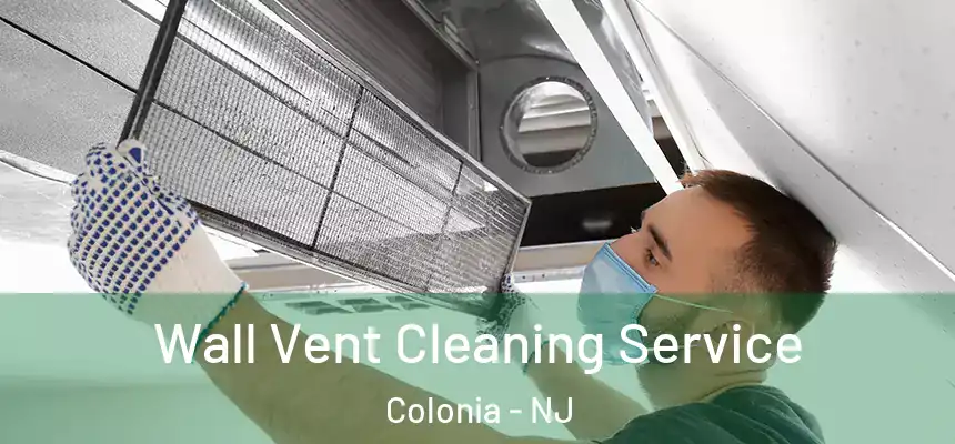 Wall Vent Cleaning Service Colonia - NJ